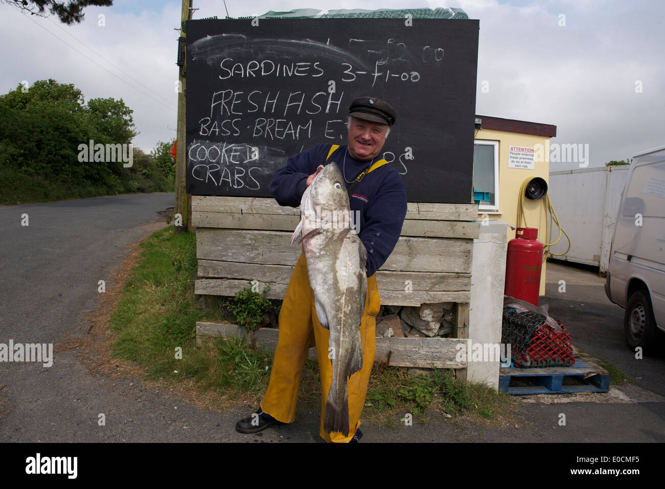 Cornwall, Fisherman, Fish Trader, Cod, Fish for Sale, Cornish Fisherman, Selling Fish, Sustainable Fishing Stock Photo