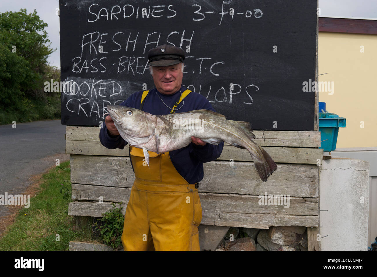 Cornwall, Fisherman, Fish Trader, Cod, Fish for Sale, Cornish Fisherman, Selling Fish, Sustainable Fishing Stock Photo