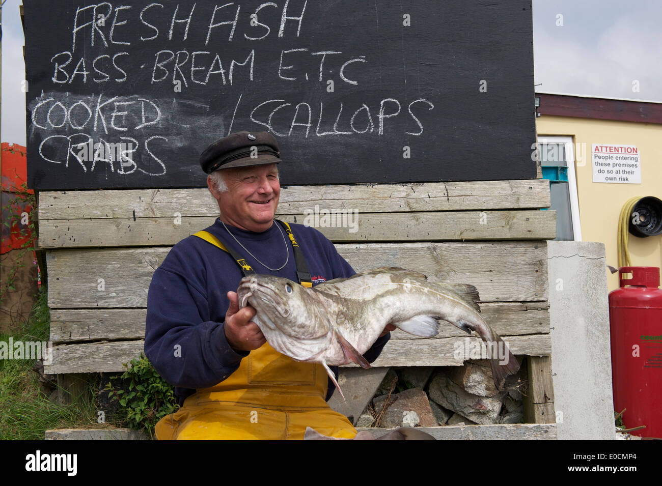 Cornwall, Fisherman, Fish Trader, Shark, Cod, Fish for Sale, Cornish Fisherman, Selling Fish, Sustainable Fishing, Happy Stock Photo