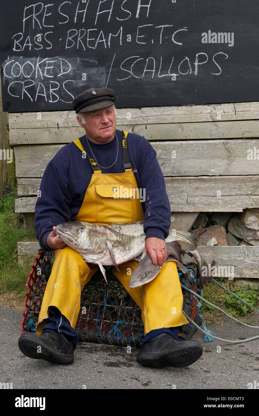 Cornwall, Fisherman, Fish Trader, Shark, Cod, Fish for Sale, Cornish Fisherman, Selling Fish, Thinking Stock Photo