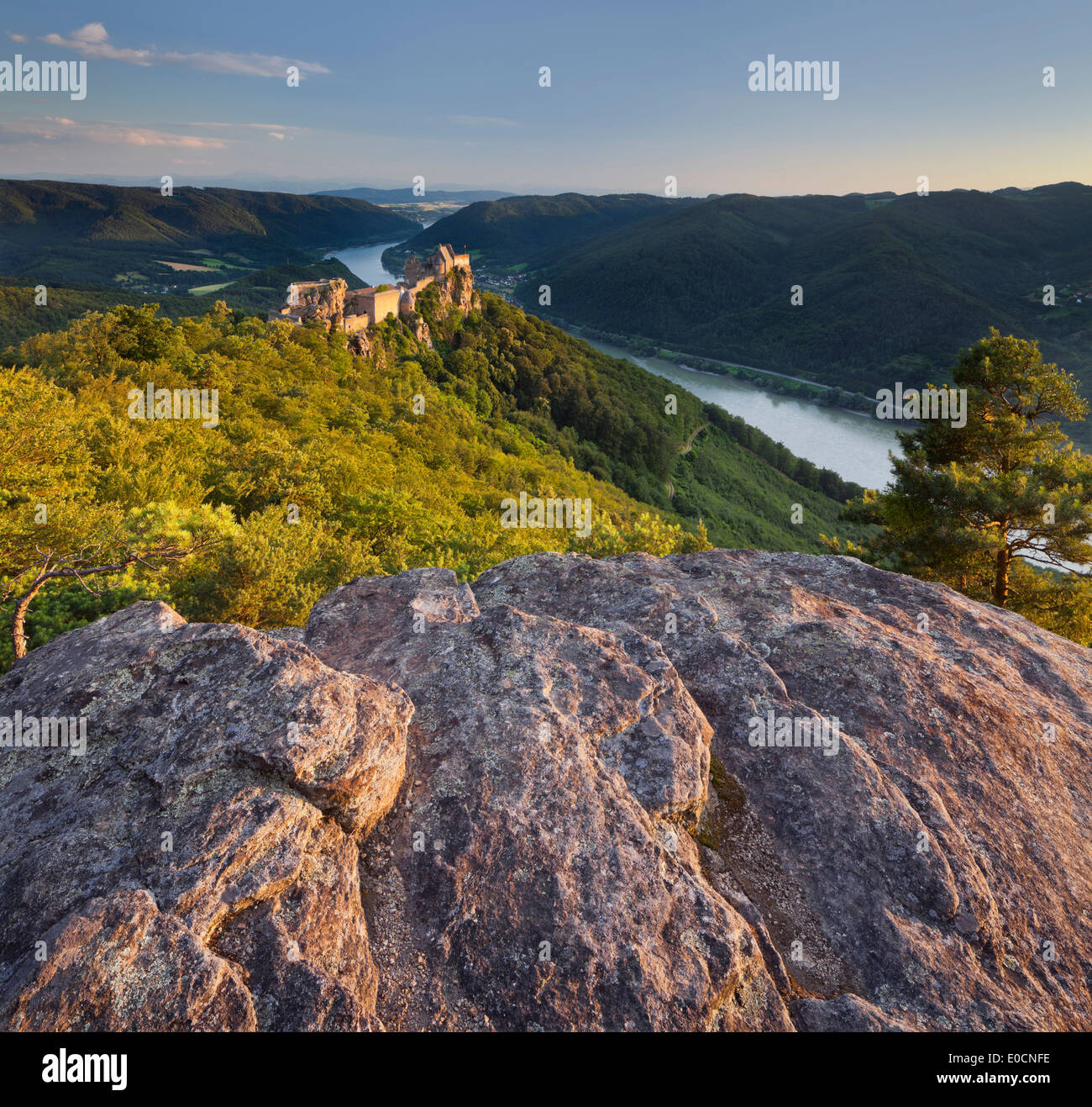 Aggstein castle ruin at Danube river in the evening light, Wachau, Lower Austria, Austria, Europe Stock Photo