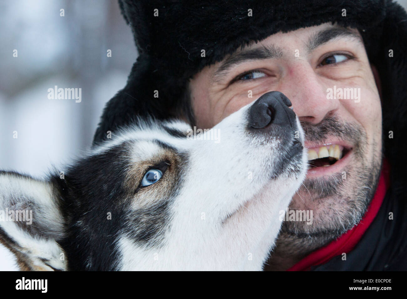 A man and a husky, Lapland, Finland, Europe Stock Photo