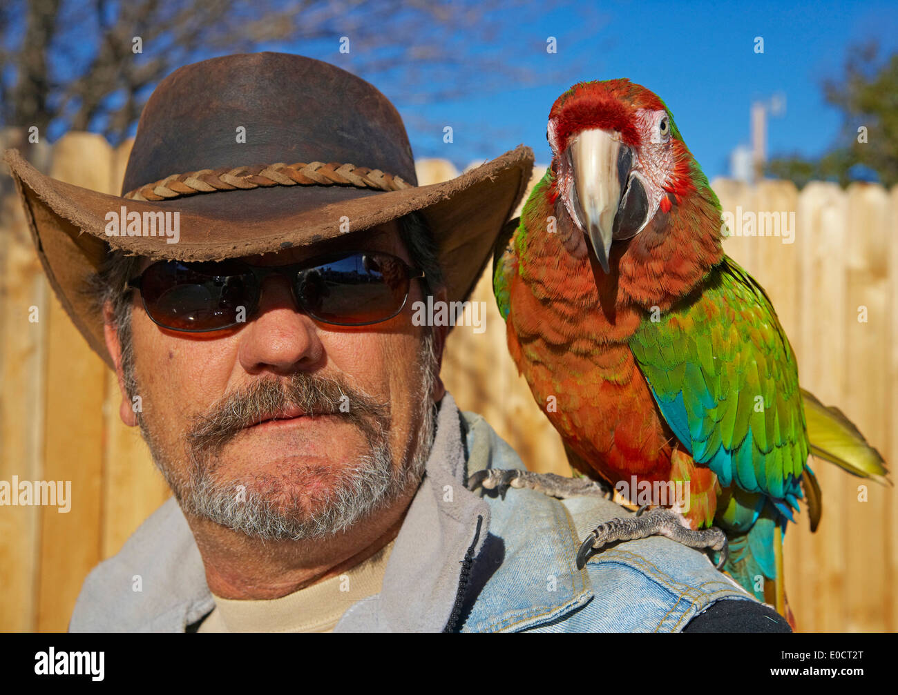 Birdman Patches Paul Randall with parrot, Tombstone, Western Heritage, Silver-mining, Sonora Desert, Arizona, USA, America Stock Photo