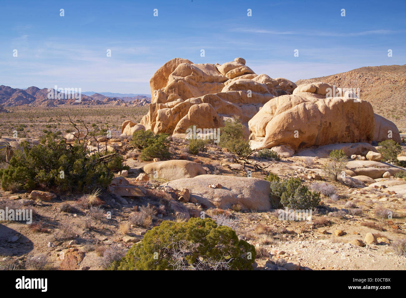 View from Sheep Pass towards southwest, Joshua Tree National Park ...