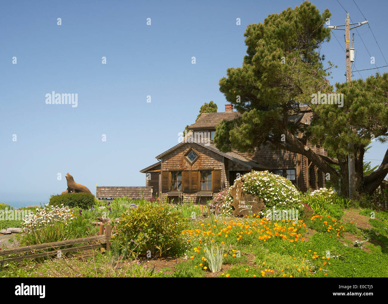 Wooden house with garden at Navarro, Mendocino, California, USA, America Stock Photo