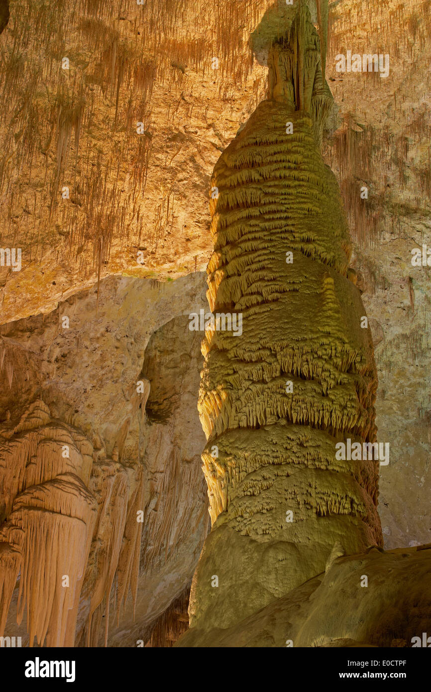 Carlsbad Cavern, Cave, Carlsbad Caverns National Park, UNESCO World Nature Site, New Mexico, USA, America Stock Photo