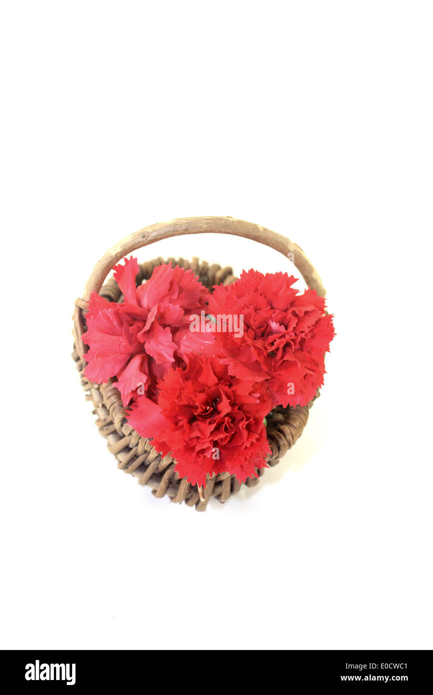red carnations blossoms in a basket on light background Stock Photo