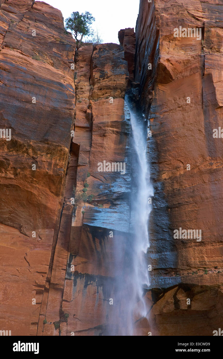 Waterfall at the Upper Emerald Pool, Zion National Park, Utah, USA, America Stock Photo