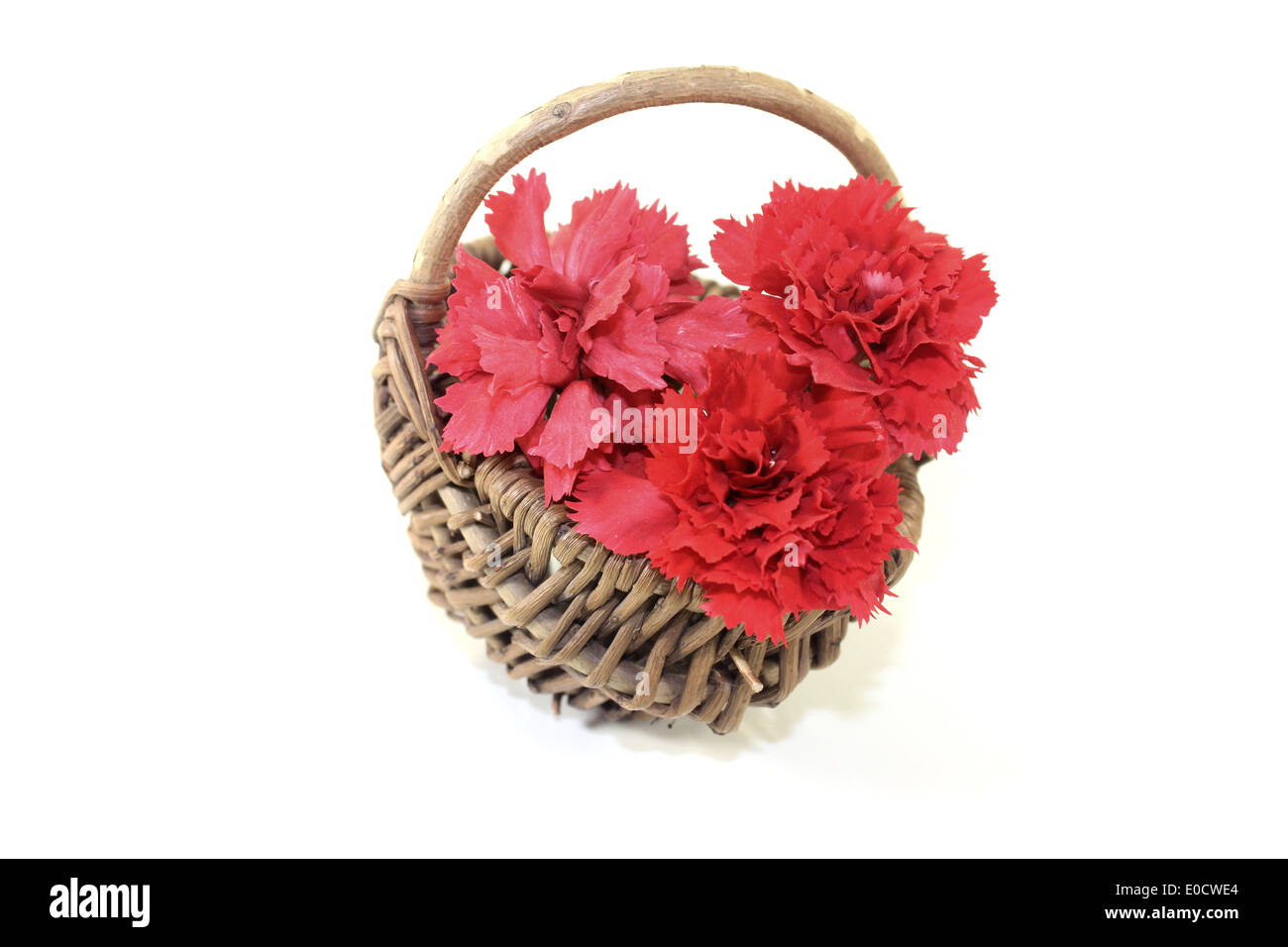 fresh red carnations blossoms in a basket on light background Stock Photo