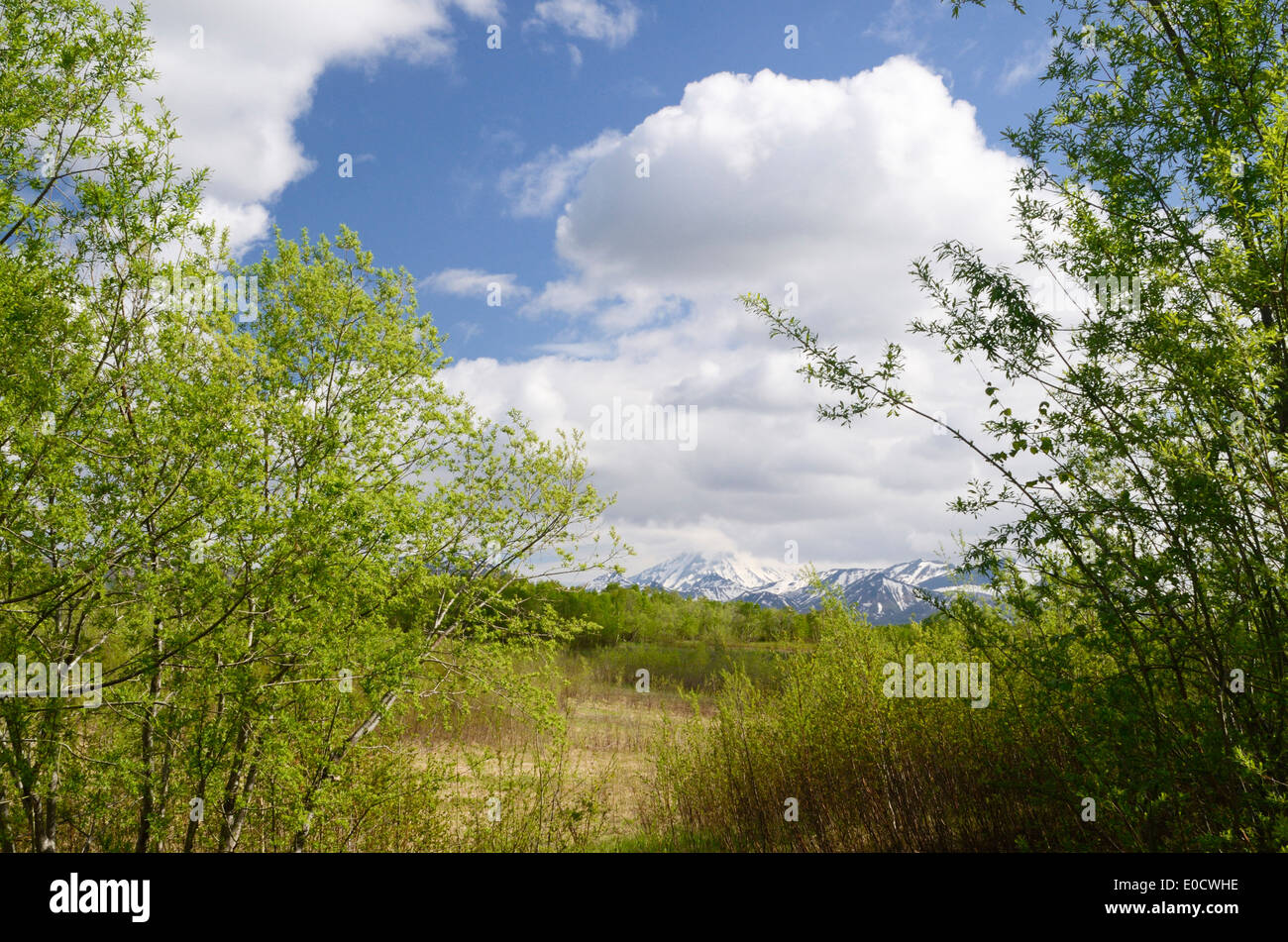 Awatschinsky, Avachinskaya Sopka and Korjaksky, Korjakskaya Sopka, volcanos on the Kamtschatka peninsula, Kamtschatka, Russia Stock Photo