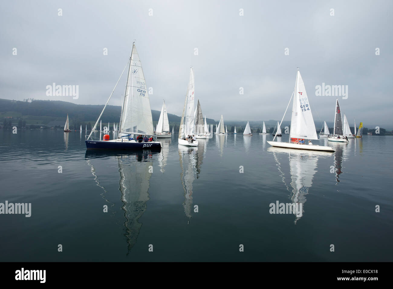 Sailing competion,  Sailingclub Oberstaad, near  Wangen, Hoeri, Lake of Constance, Baden-Wurttemberg, Germany Stock Photo