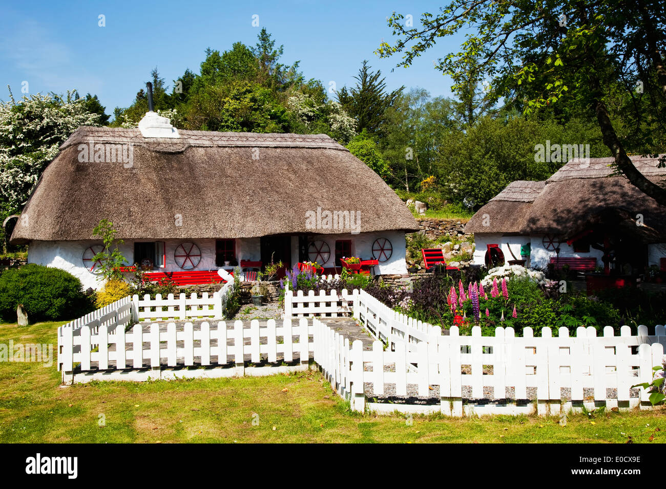 House with thatched roof and white picket fence; Oughterard, County ...