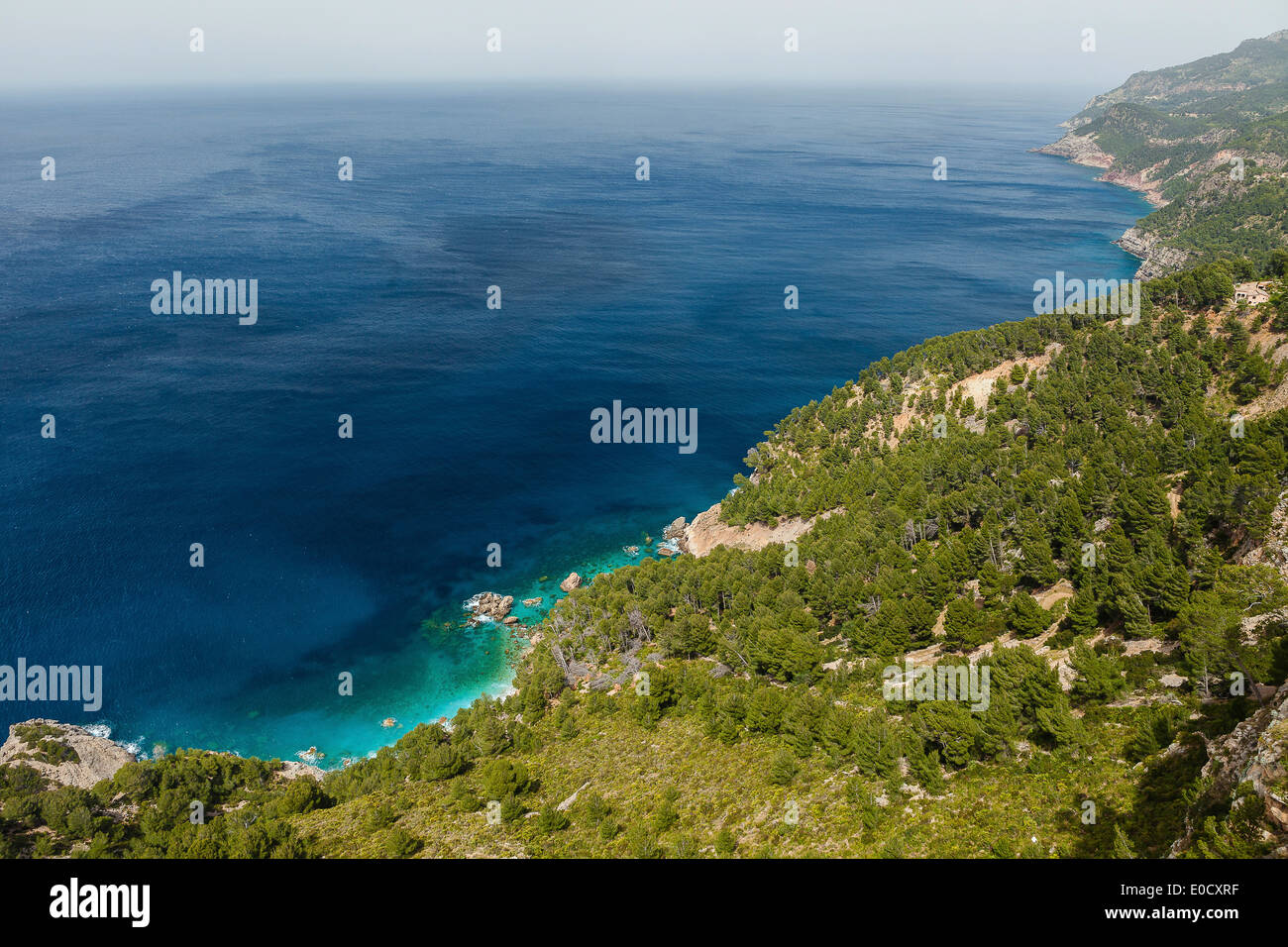Forested coast at Mediterranean Sea, Estellencs, Mallorca, Spain Stock Photo