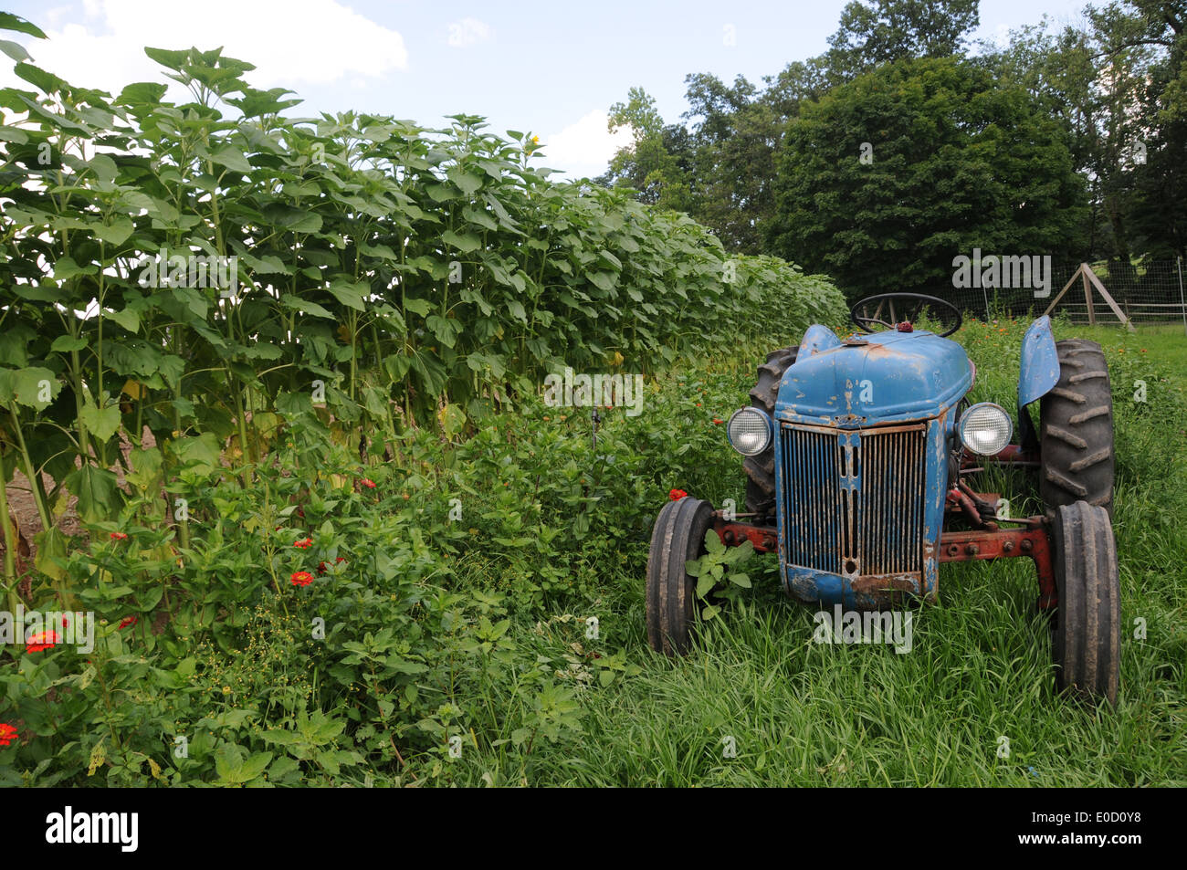 8n High Resolution Stock Photography And Images Alamy 8n High Resolution Stock Photography And Images Alamy