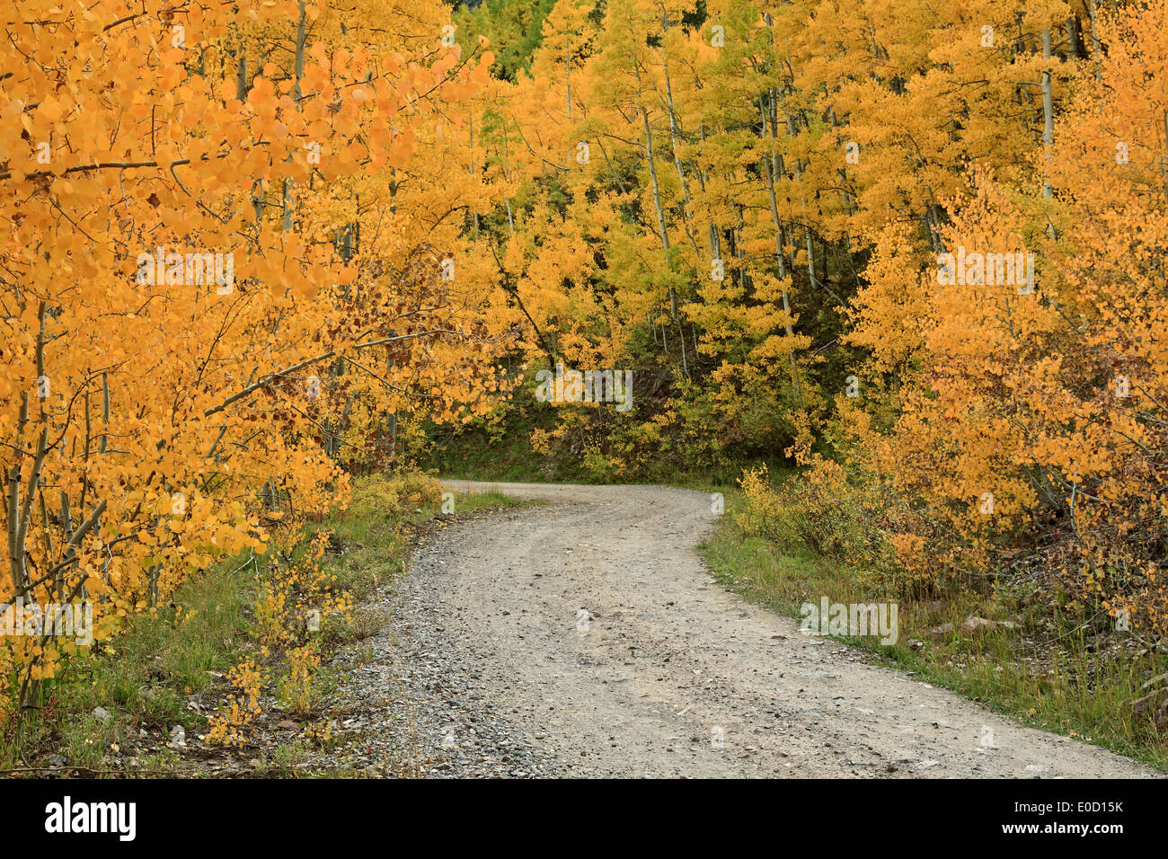 Lime creek road hires stock photography and images Alamy