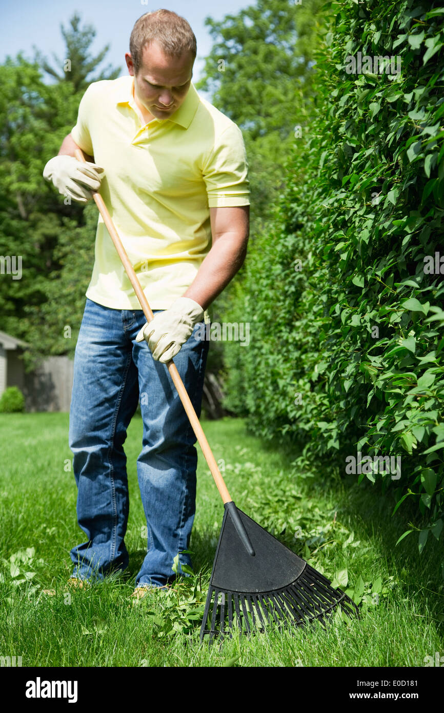 Male raking grass hires stock photography and images Alamy