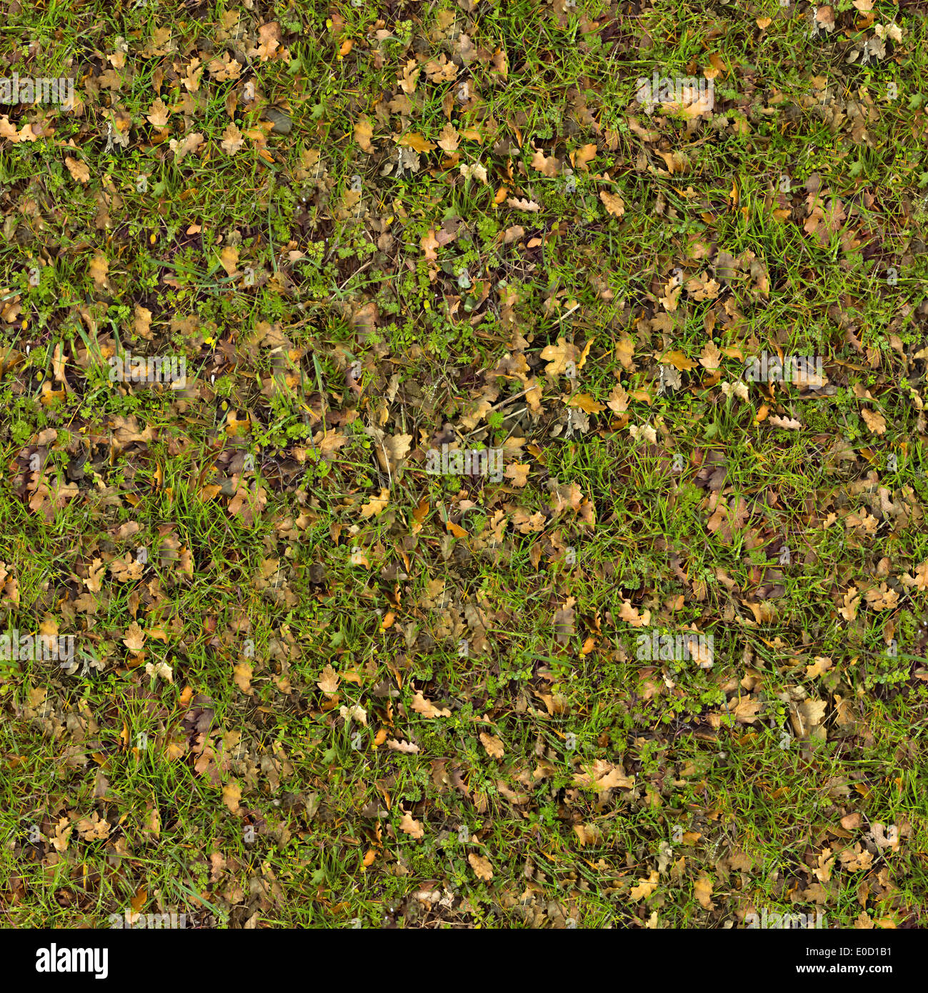 Dry Leaves on Green Grass. Seamless Texture. Stock Photo