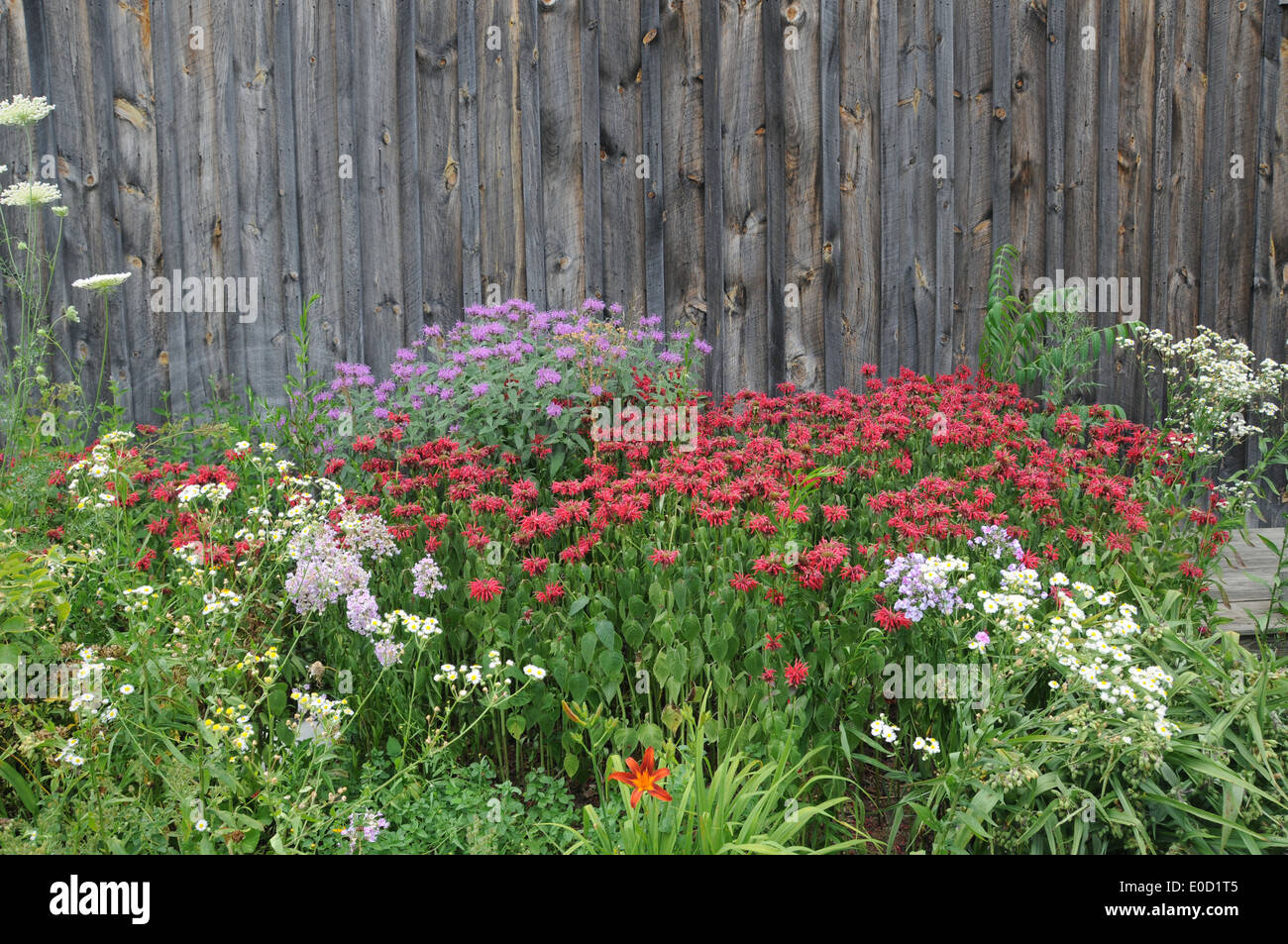 Summer farm scene barns flowers hires stock photography and images Alamy