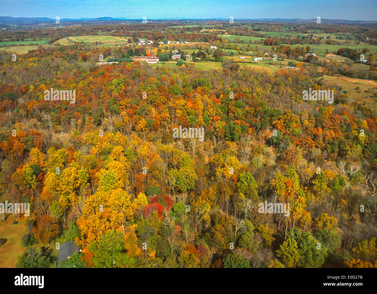 LOUDOUN COUNTY, VIRGINIA, USA - Aerial of autumn foliage in forest ...