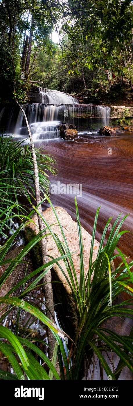 Gulik Falls, edge of southern plateau, Maliau Basin, 'Lost World', Borneo Stock Photo