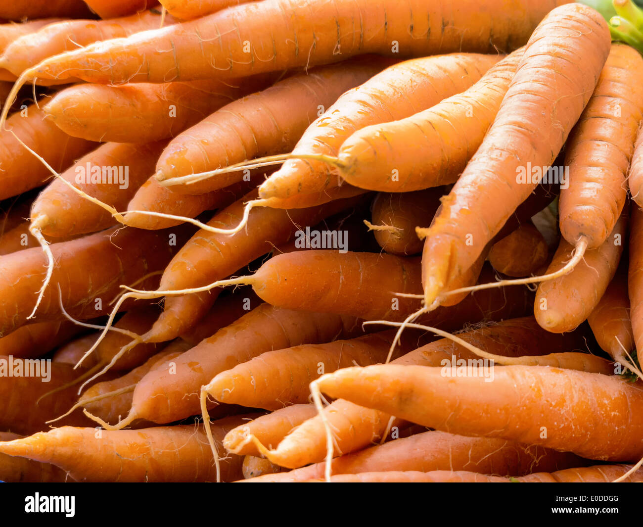 Fresh carrots, symbolic photo for food, freshness, healthy food, Frische Karotten, Symbolfoto fuer Lebensmittel, Frische, Gesund Stock Photo