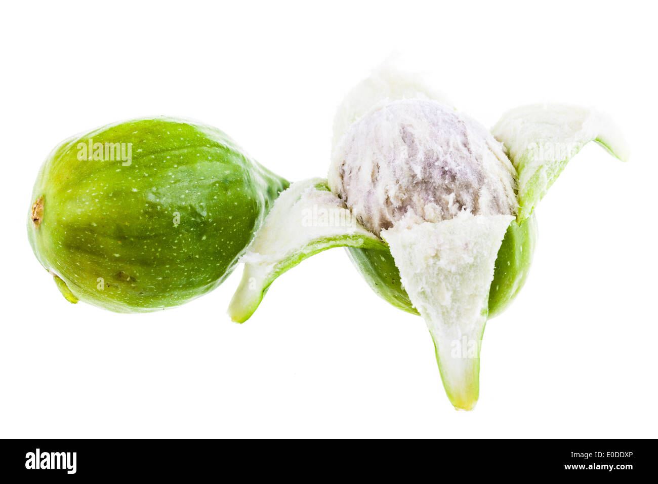 ripe green figs isolated over a white background Stock Photo