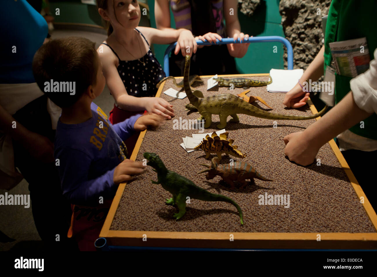 Children learning about dinosaurs in natural history museum - USA Stock Photo