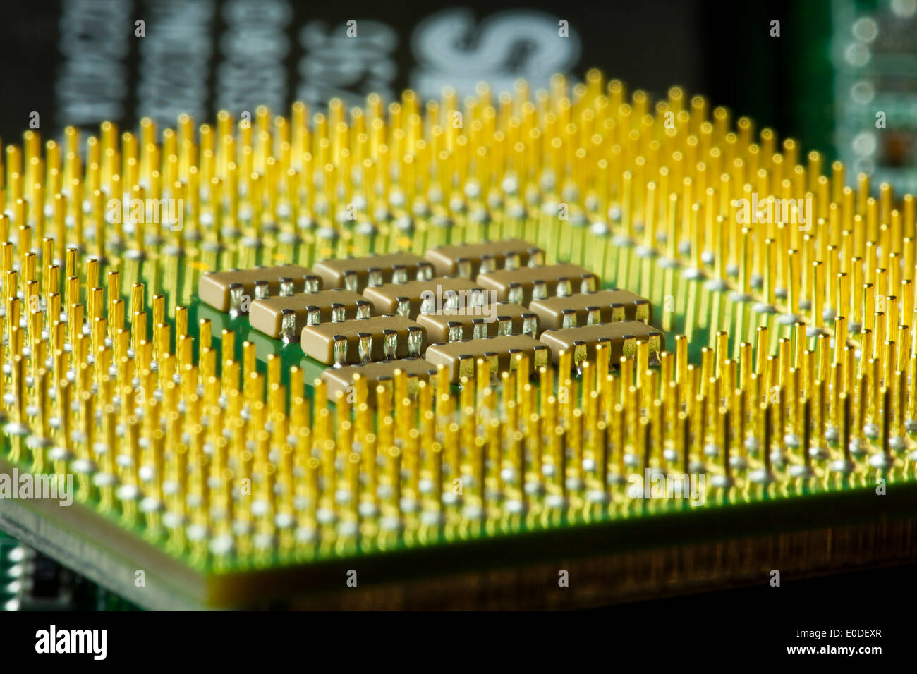 Computer CPU pins (CPU back, CPU rear view Stock Photo - Alamy