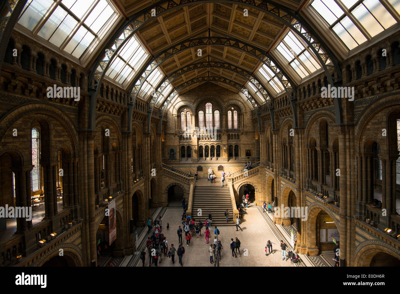 A shaft of light inside the Natural History Museum in London England UK Stock Photo