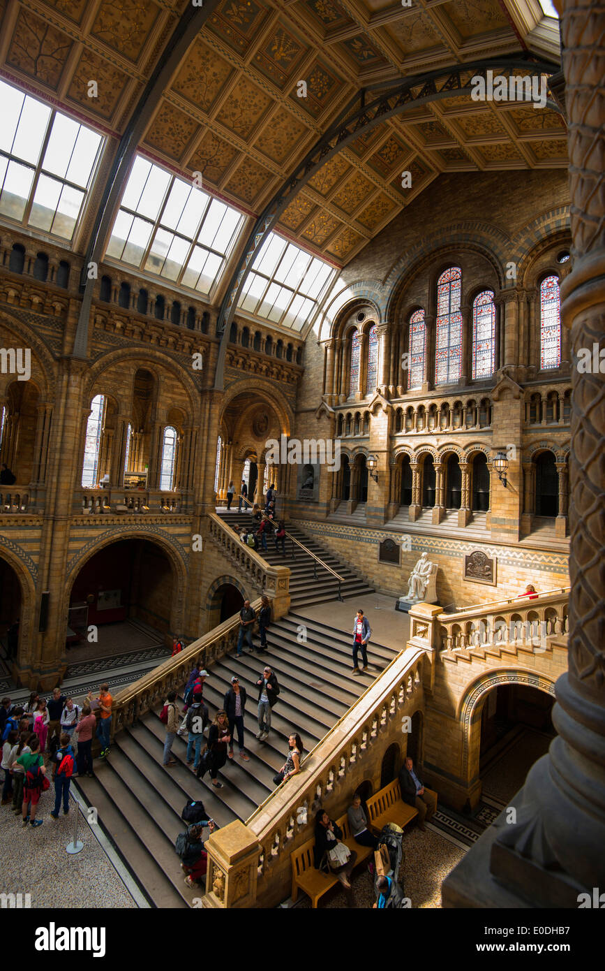 Beautiful spring light in the interior of the Natural History Museum in London England UK Stock Photo