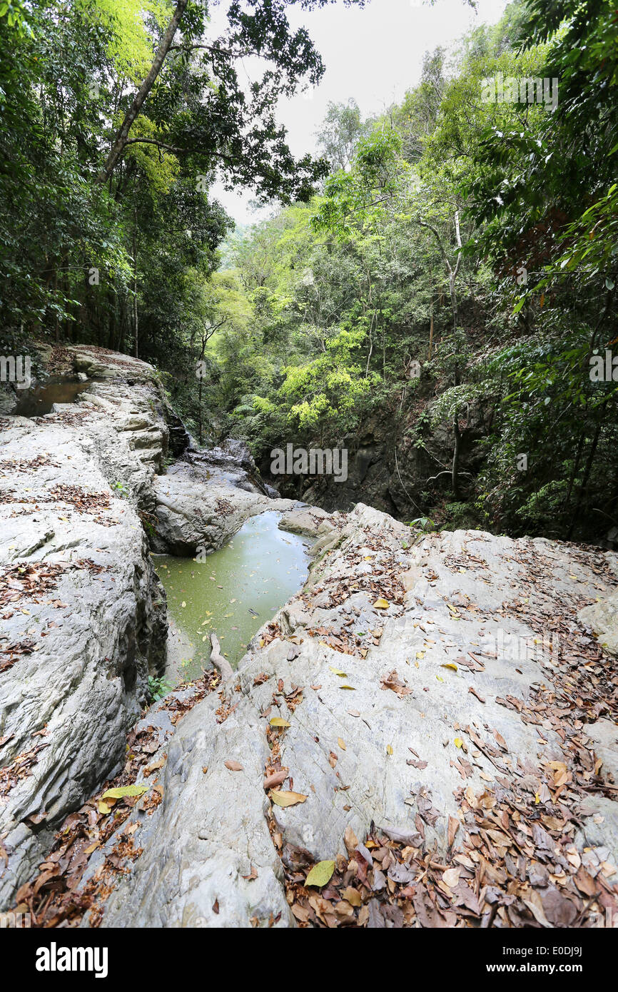 beautiful waterfall flows between stones photographed closeup Stock Photo