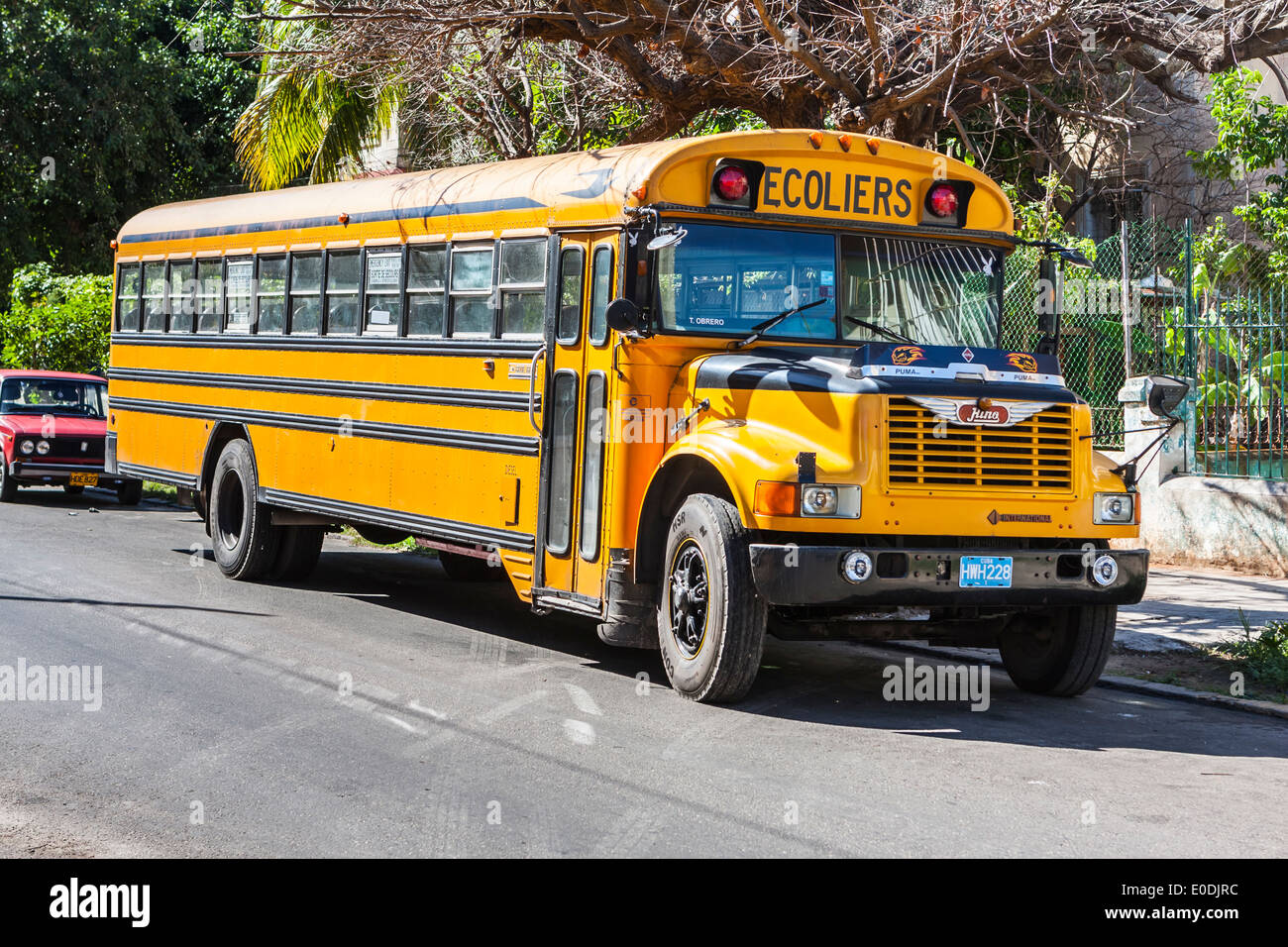 School Bus Stock Photo