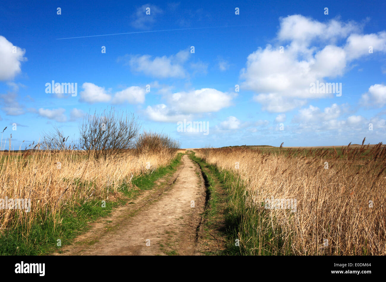 A public footpath across the grazing marshes to the sea at Salthouse, Norfolk, England, United Kingdom. Stock Photo