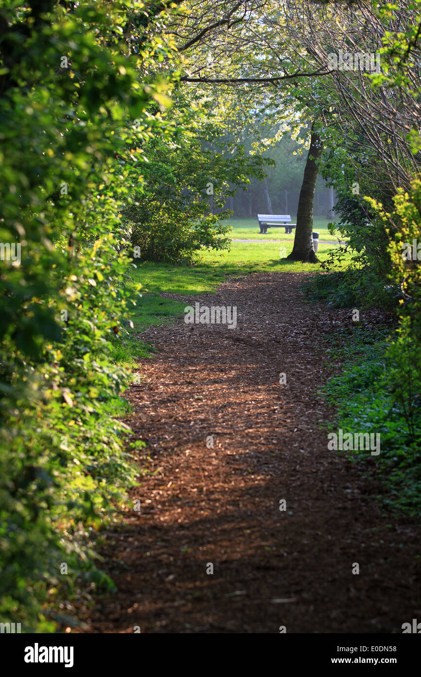 Public park country walk wood chippings carpet. Fresh air and the good feeling you get out in one of the counties open spaces. Stock Photo