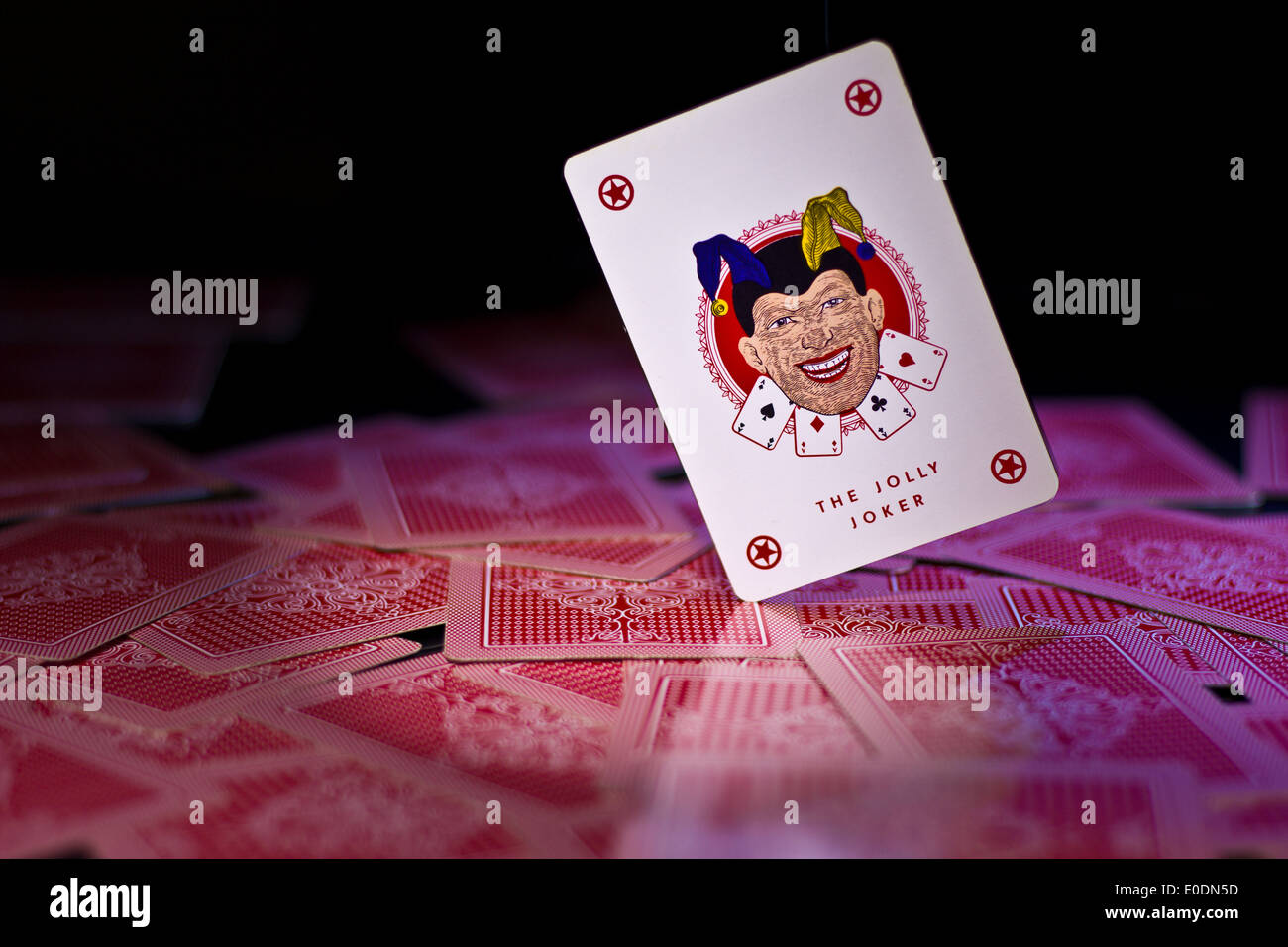 joker card falling on a spreaded deck Stock Photo