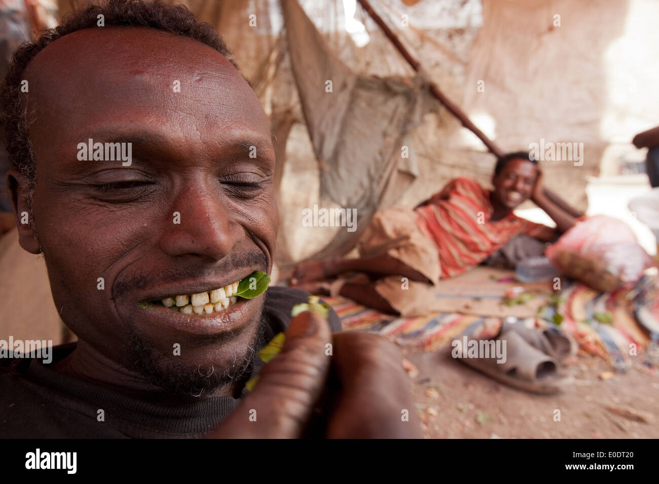 Khat user in Harar, Ethiopia. Stock Photo
