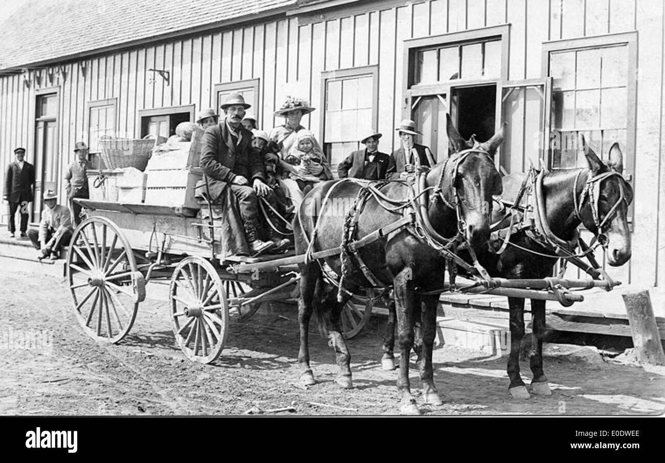 James Dodge and family posed in horse drawn wagon Stock Photo
