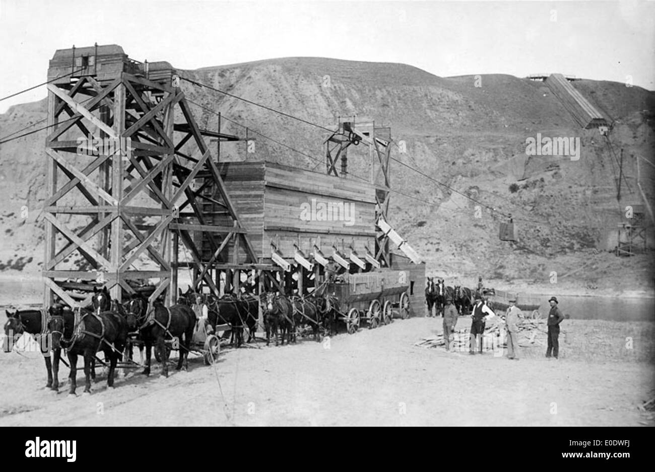 The grain moving system on the Cameron Ranch, Alberta, is shown here ...