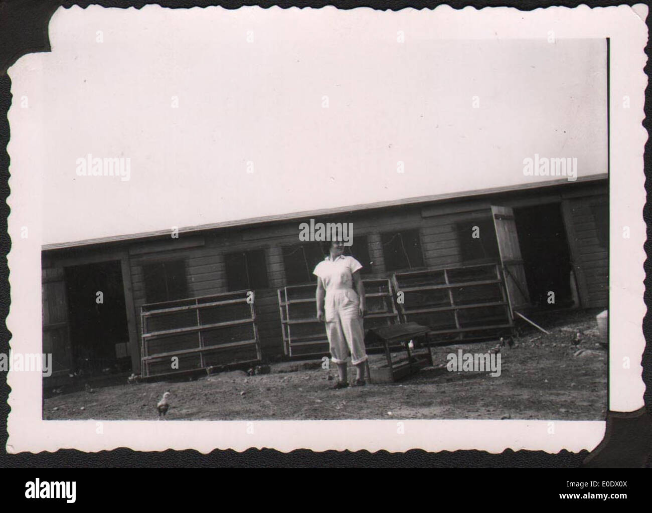 Helga Rome in front of family chicken coop Stock Photo