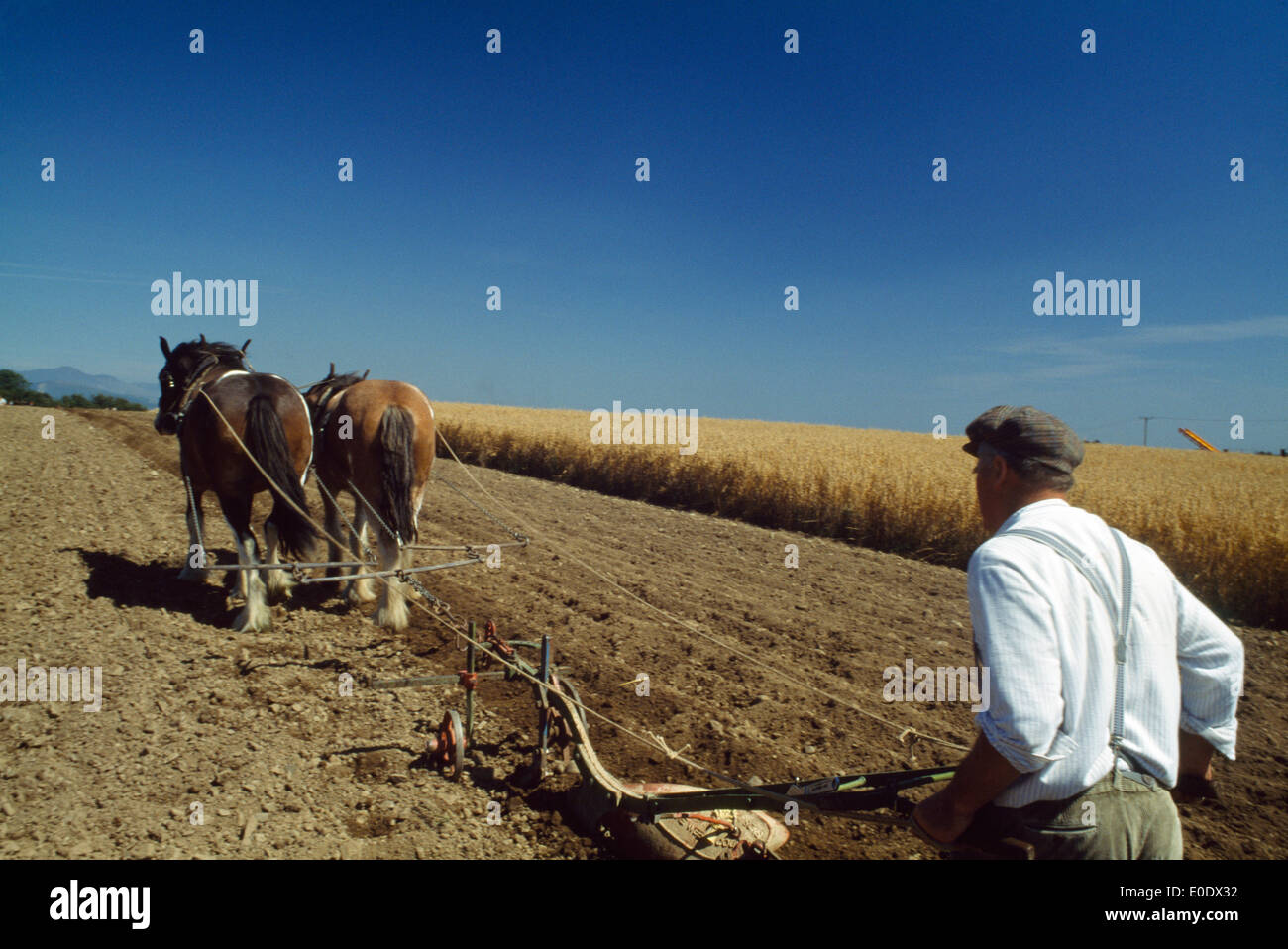 Farmer Plowing Field, Cooley Peninsula, County Louth, Ireland Stock Photo
