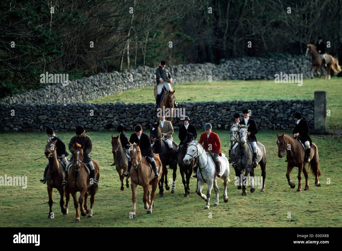 Galway Blazers Fox Hunting, County Galway, Ireland Stock Photo Alamy