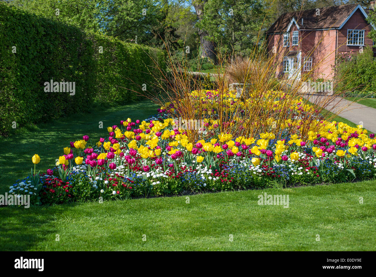 Flowerbed with spring flowers and Flaming winter willows, RHS Garden