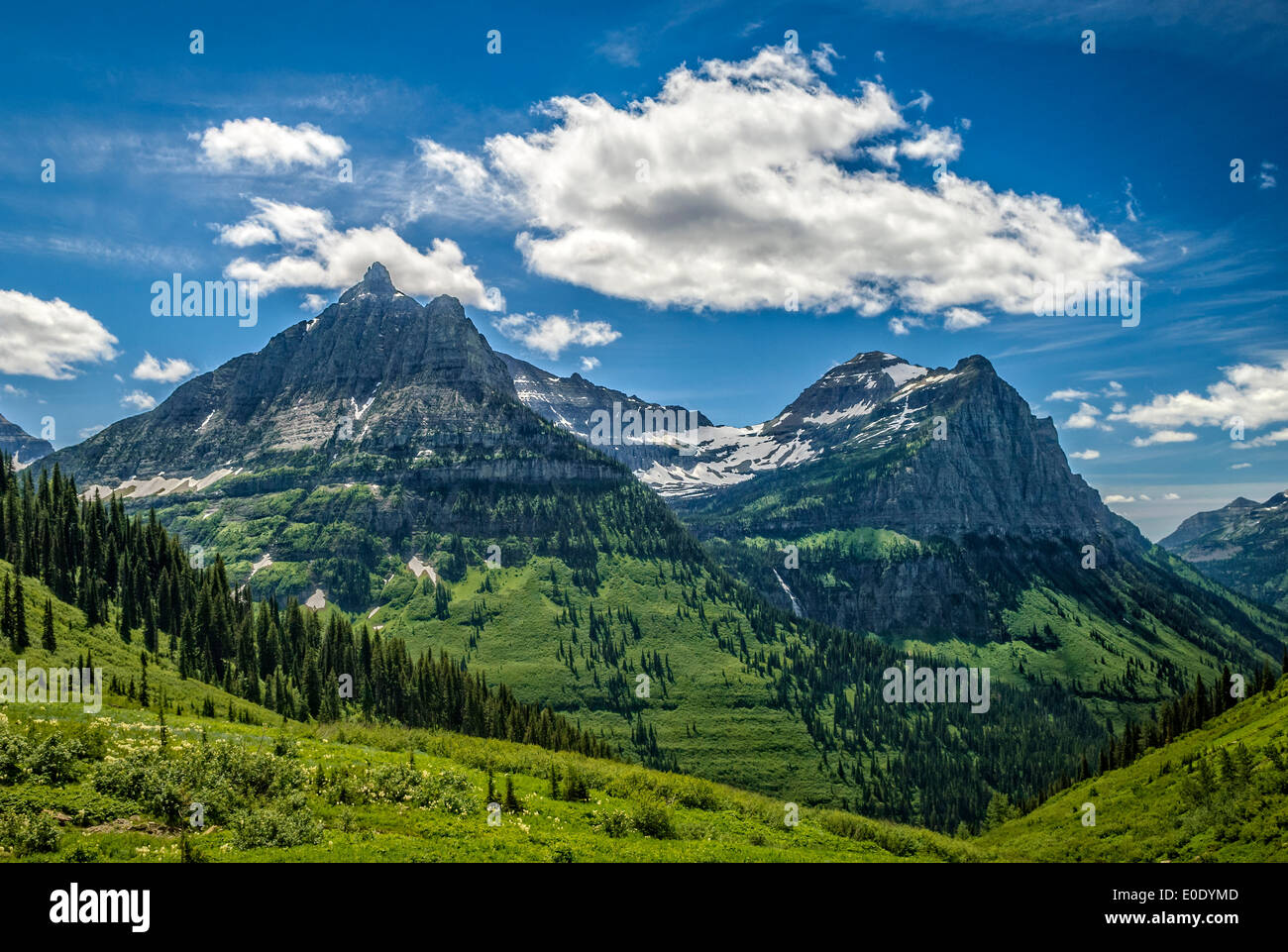 Mount Oberlin and Cannon Mountain from Going to the Sun Road; Glacier National Park, Montana. Stock Photo