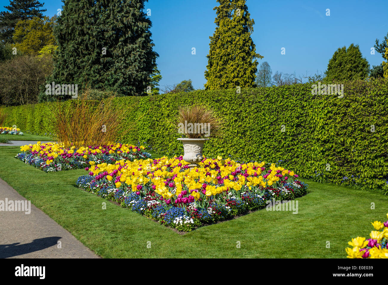 Flowerbed with spring flowers, RHS Garden, Wisley, Surrey, England Stock Photo