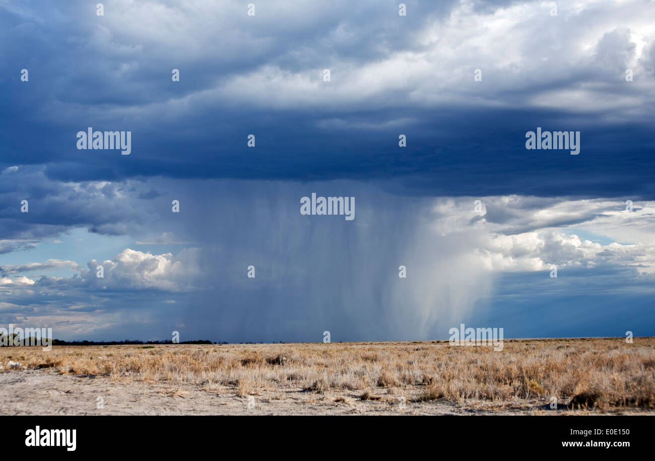 A scenic view of a distant rain in the Etosha National Park Namibia Stock Photo