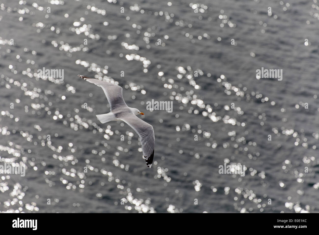 Bird eye view sea waves hi-res stock photography and images - Alamy