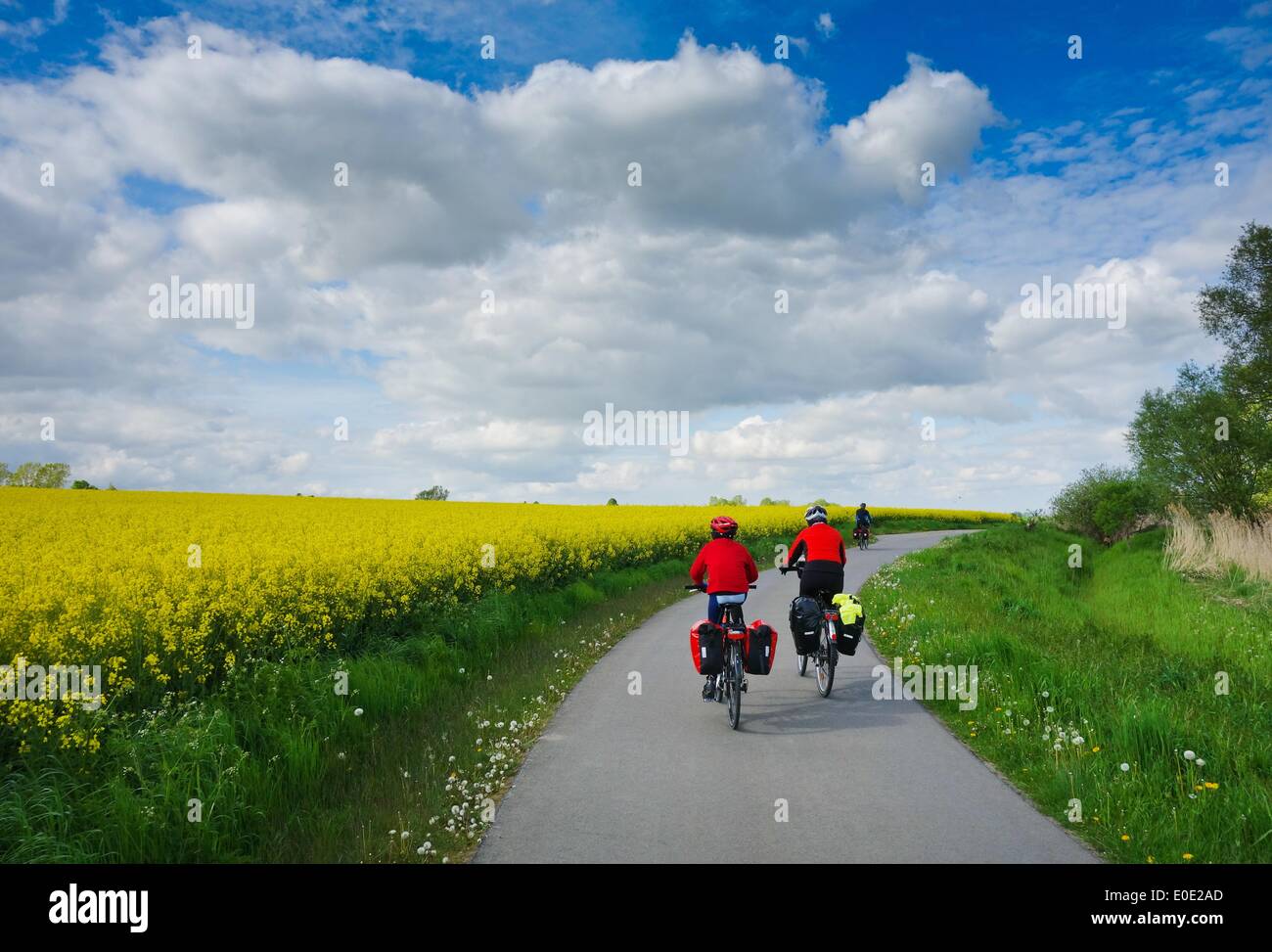 Prenzlau, Germany. 03rd May, 2014. People cycle along the Berlin-Usedom cycle route near Prenzlau, Germany, 03 May 2014. The 337 kilometer route between Berlin and Usedom is one of the most well loved cycle paths in Germany. Photo: Patrick Pleul/dpa/Alamy Live News Stock Photo