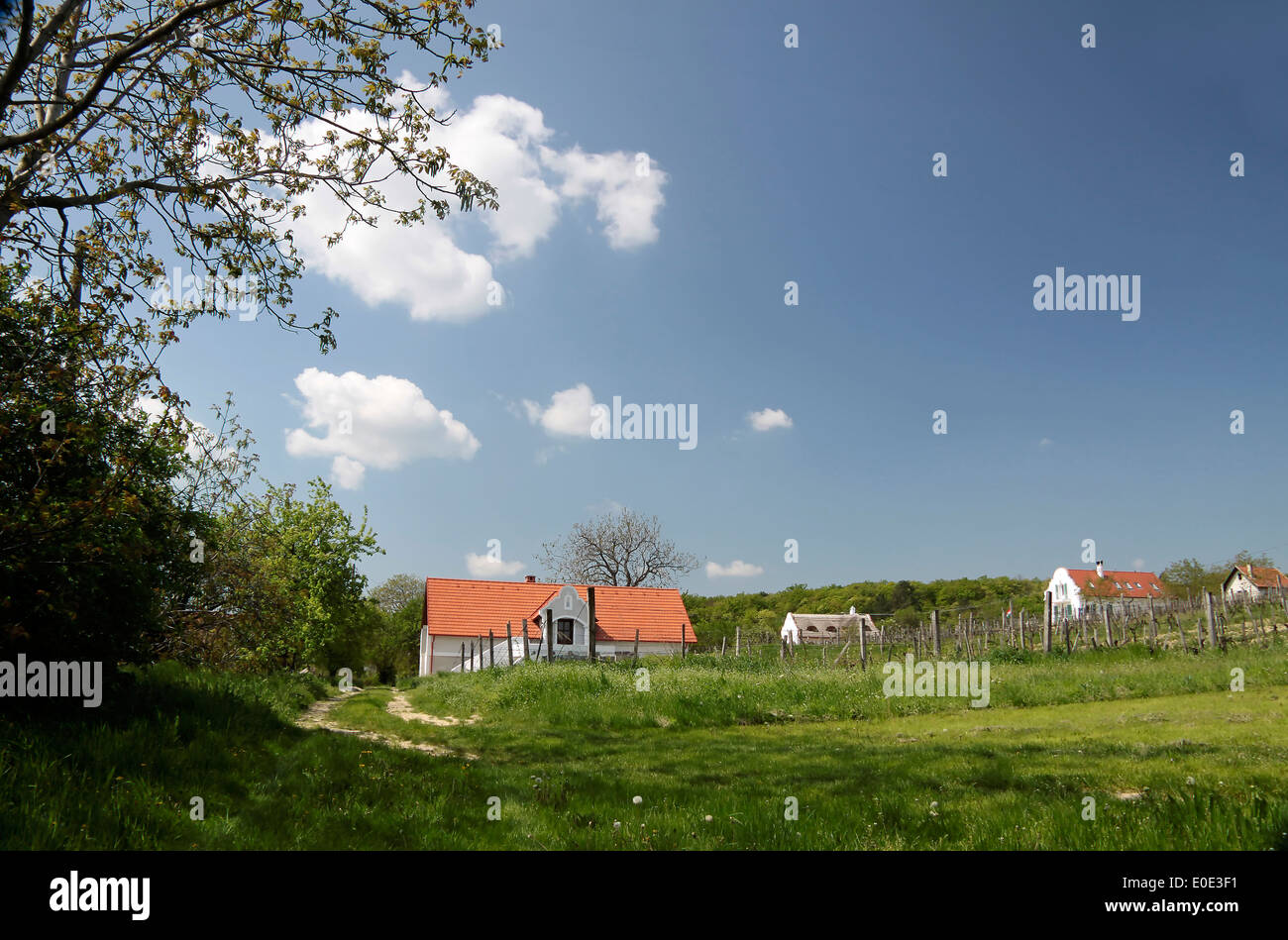Village landscape near Aszofö at Lake Balaton, Hungary Stock Photo