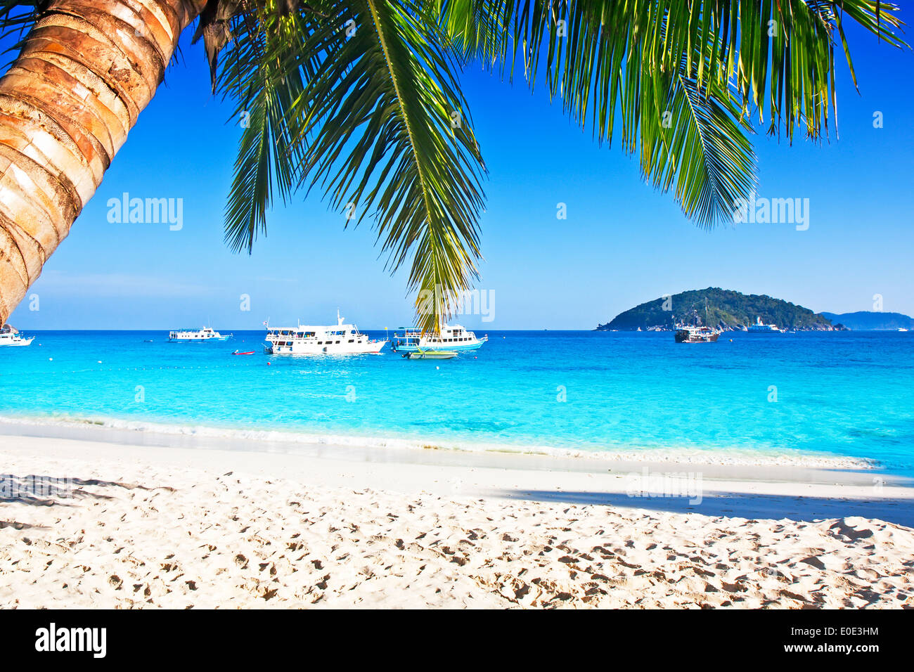Tropical white sand beach with palm trees Stock Photo