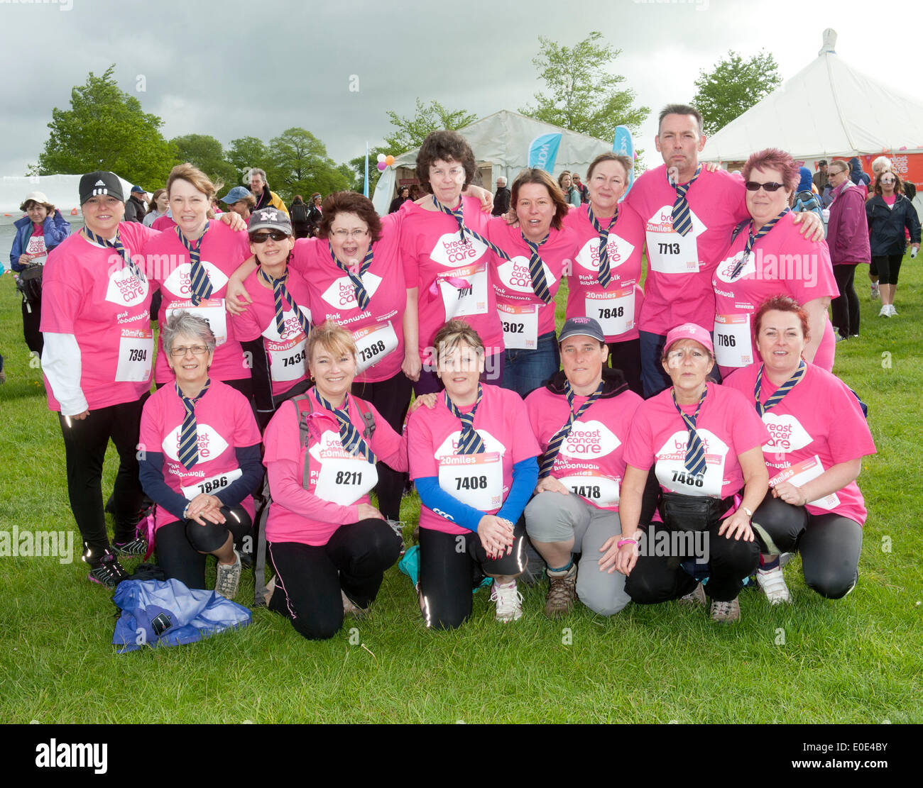 Pink ribbon walk blenheim palace hi-res stock photography and images ...